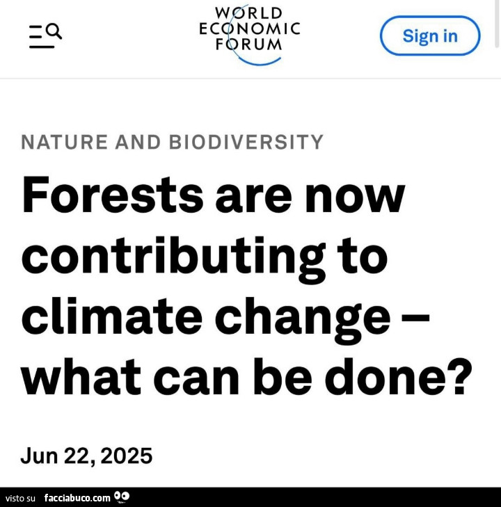 Forests are now contributing to climate change what can be done?
