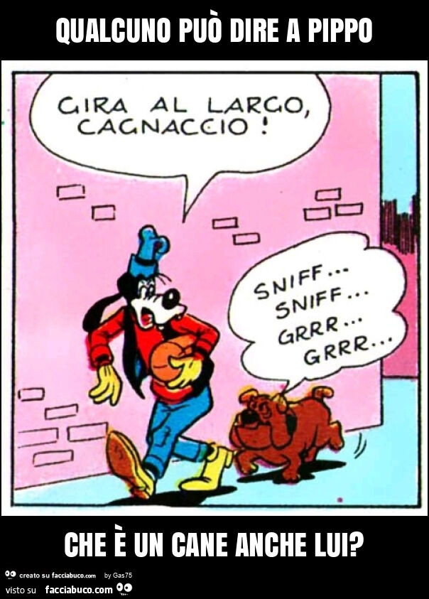 Qualcuno può dire a pippo che è un cane anche lui?