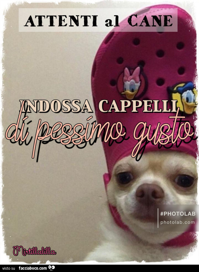 Attenti al cane