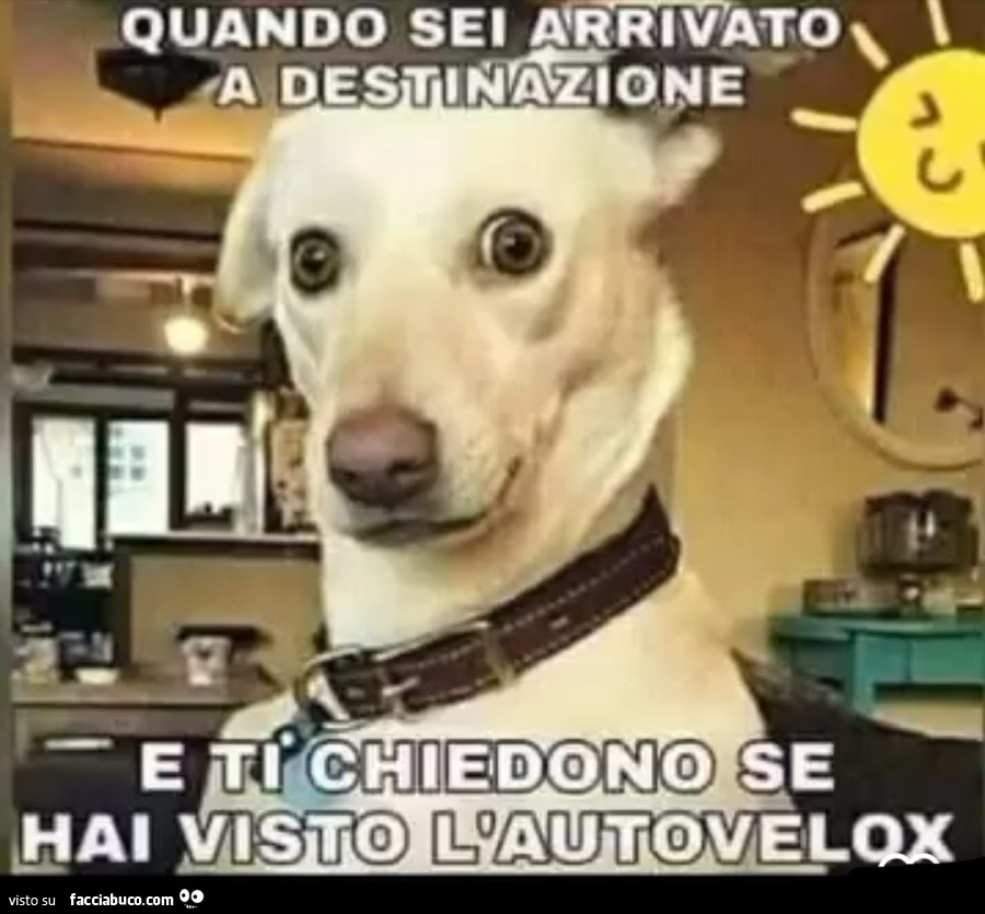 Autovelox