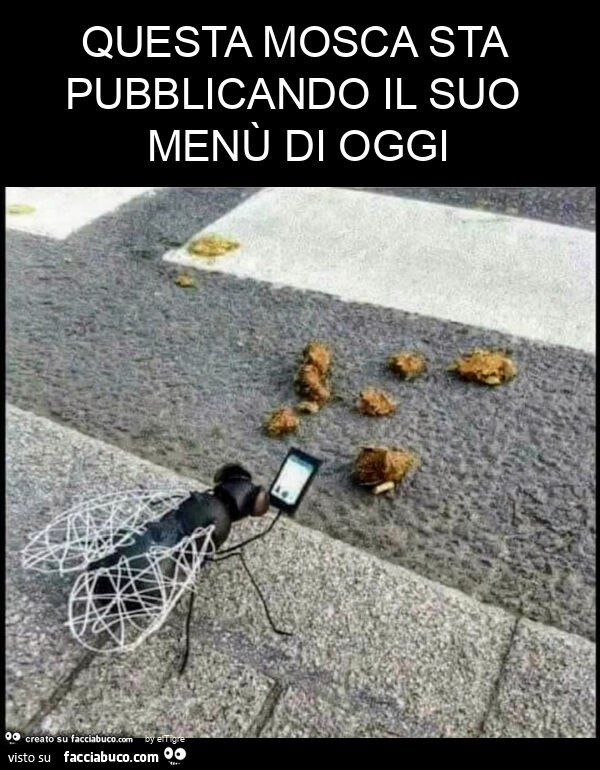 Questa mosca sta pubblicando il suo menù di oggi