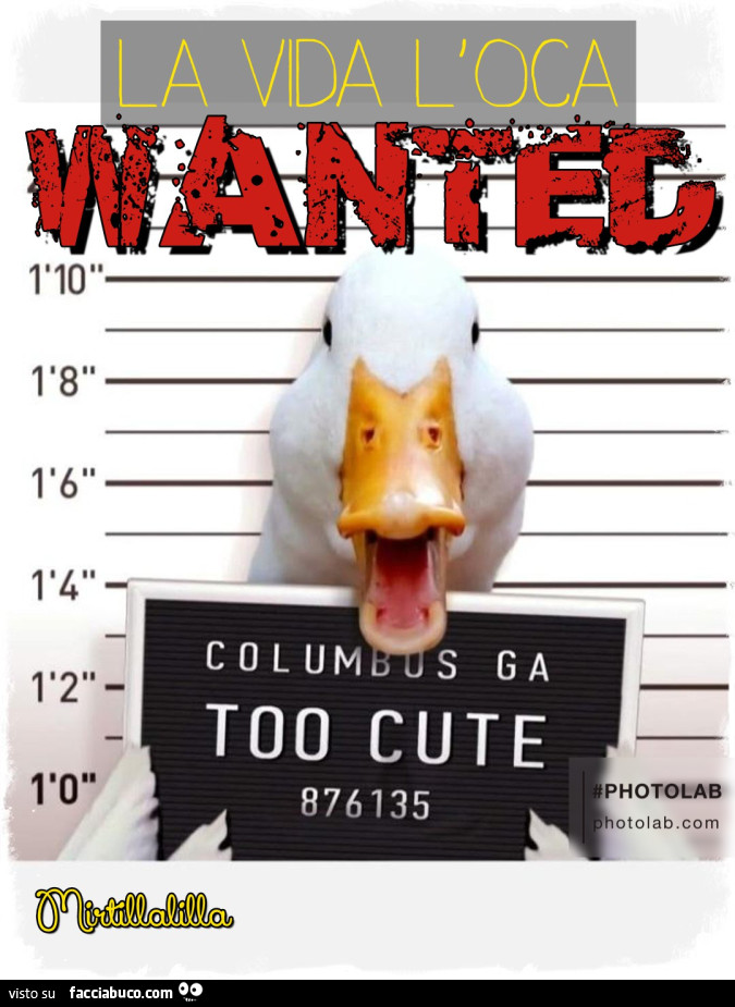 Wanted