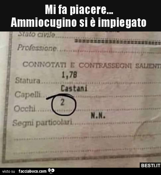 Vaccata