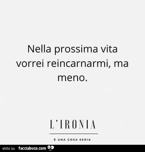 Nella prossima vita vorrei reincarnarmi, ma meno