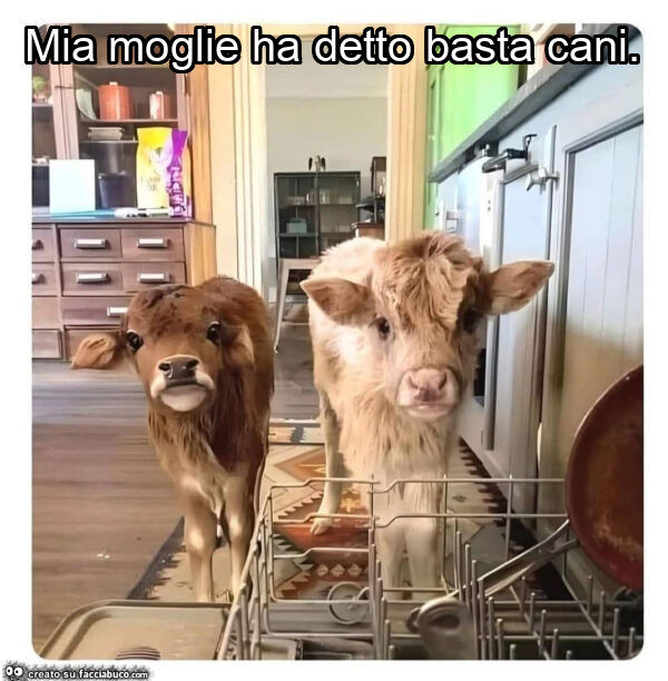Mia moglie ha detto basta cani
