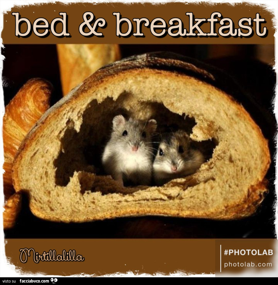 Bed & breakfast