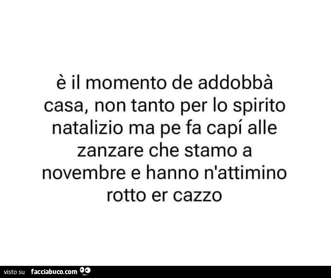 È il momento de addobbà casa, non tanto per lo spirito natalizio ma pe fa capi alle zanzare che stamo a novembre e hanno n'attimino rotto er cazzo