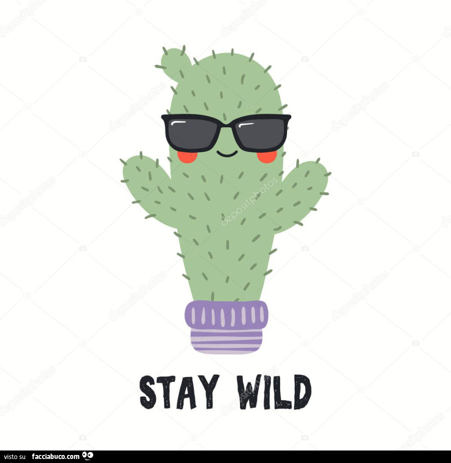 Stay wild