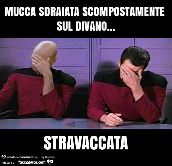 Mucca sdraiata scompostamente sul divano… stravaccata