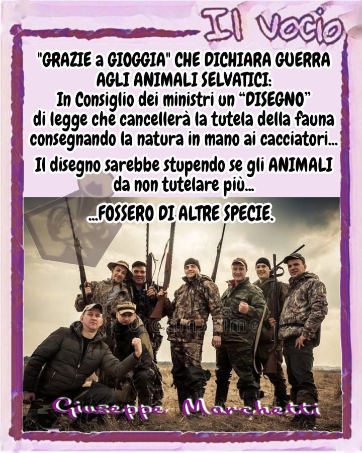 Caccia animali tutela