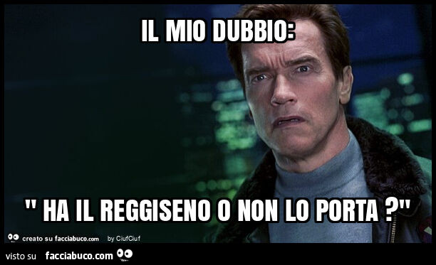 Il mio dubbio: " ha il reggiseno o non lo porta? "