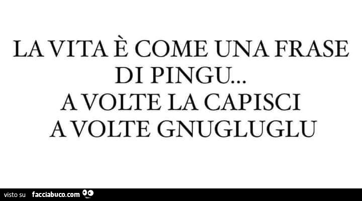 La vita è come una frase di pingu… a volte la capisci a volte gnugluglu