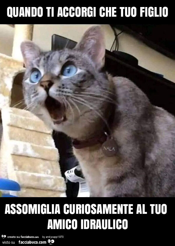 Quando ti accorgi che tuo figlio assomiglia curiosamente al tuo amico idraulico