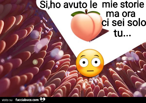 Storie