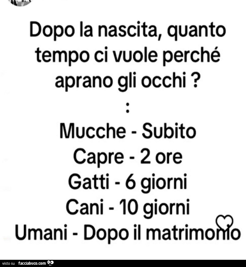 Dopo la nascita, quanto tempo ci vuole perché aprano gli occhi? Umani dopo il matrimoûo