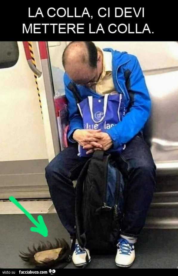 Parrucchino
