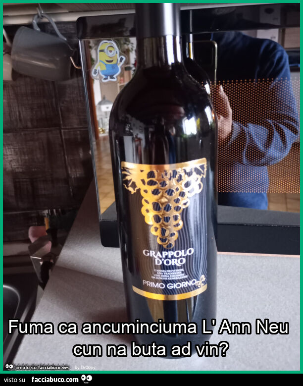 Fuma ca ancuminciuma l' ann neu cun na buta ad vin?