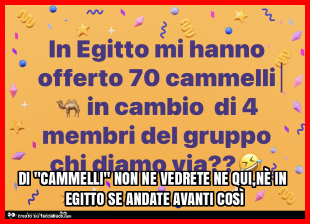 Di "cammelli" non ne vedrete ne qui, nè in egitto se andate avanti così