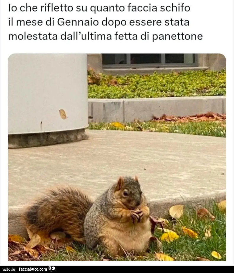 Io che rifletto su quanto faccia schifo il mese di gennaio dopo essere stata molestato dall'ultima fetta di panettone scoiattolo