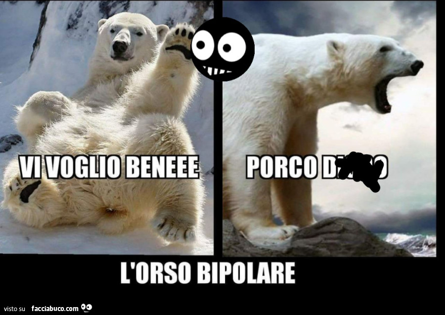 Orso bipolare