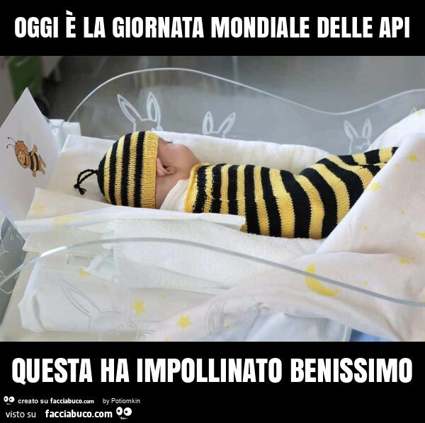 Oggi è la giornata mondiale delle api questa ha impollinato benissimo