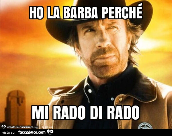 Ho la barba perchรฉ mi rado di rado