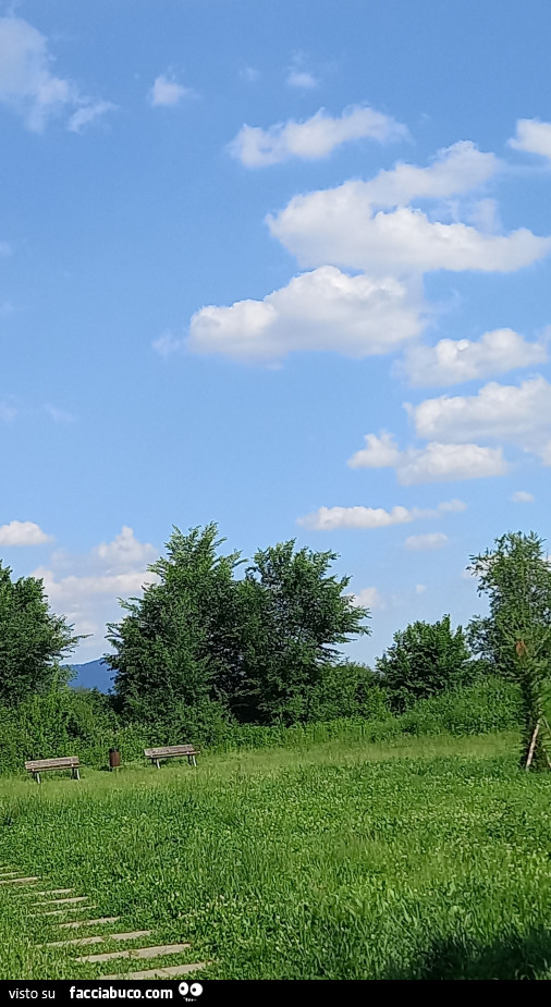 Immagini della natura