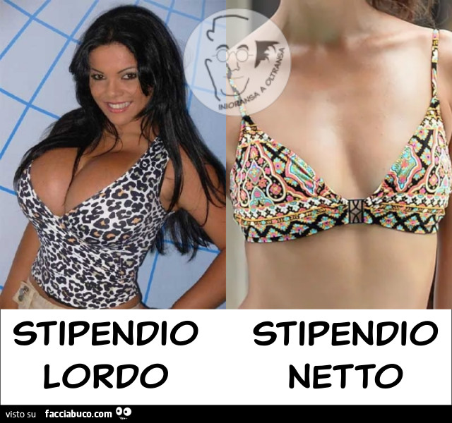 Stipendio lordo VS stipendio netto