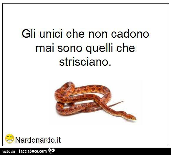 Gli unici che non cadono mai sono quelli che strisciano