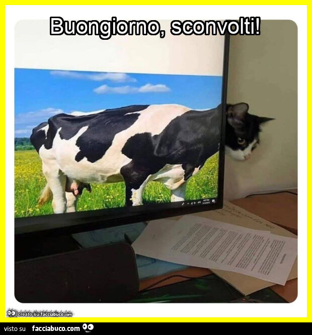 Buongiorno, sconvolti