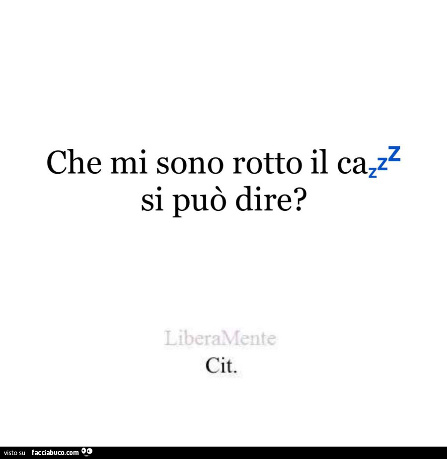 Che mi sono rotto il cazz si può dire?