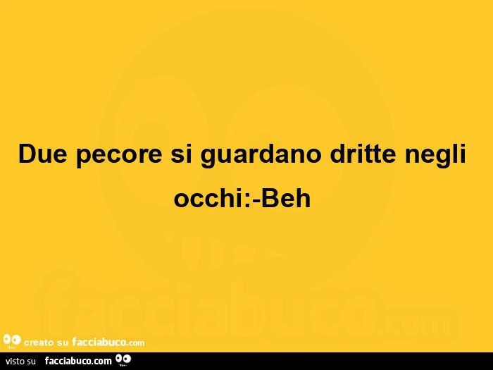 Due pecore si guardano dritte negli occhi: beh