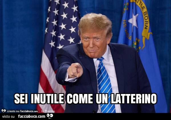 Sei inutile come un latterino