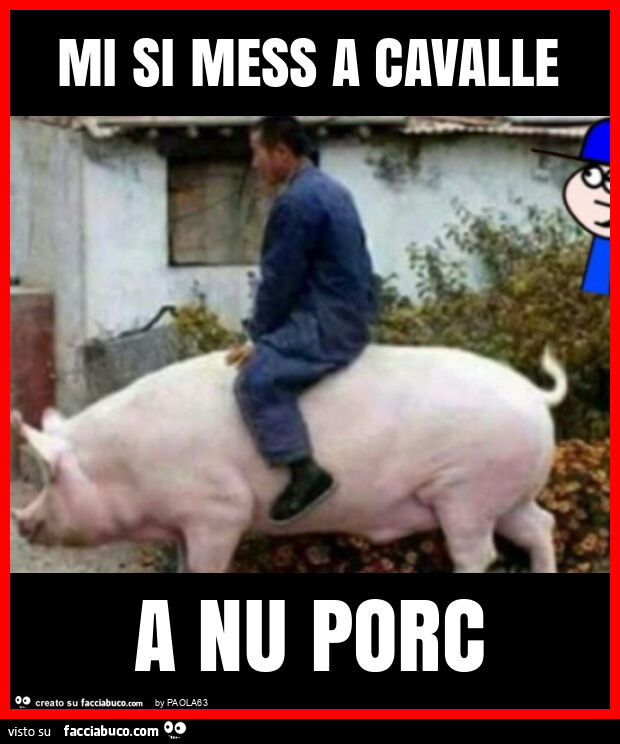 Mi si mess a cavalle a nu porc