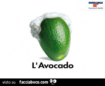 L'Avocado