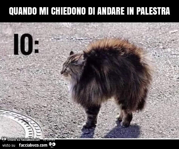 Quando mi chiedono di andare in palestra