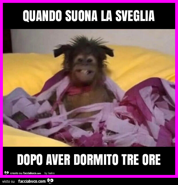 Quando suona la sveglia dopo aver dormito tre ore