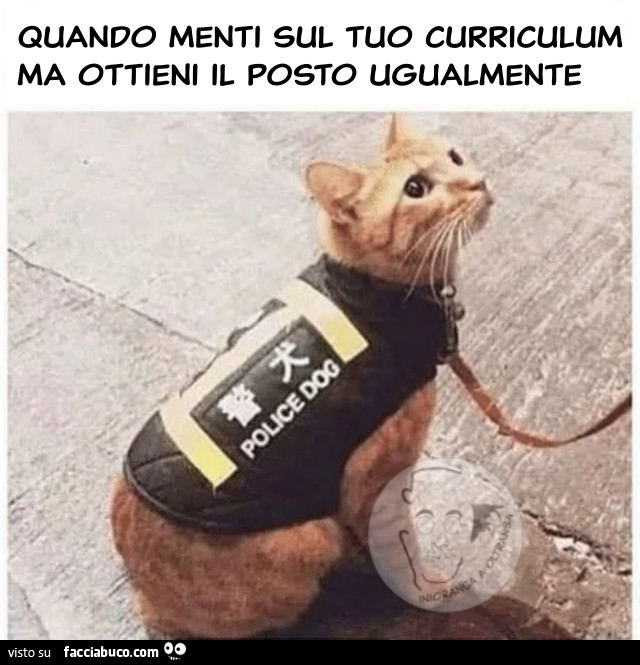 Quando menti sul tuo curriculum