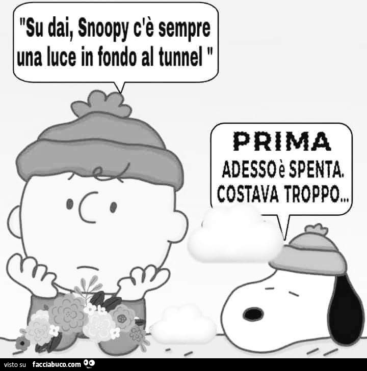 Su dai, snoopy c'è sempre una luce in fondo al tunnel. Prima adesso è spenta. Costava troppo