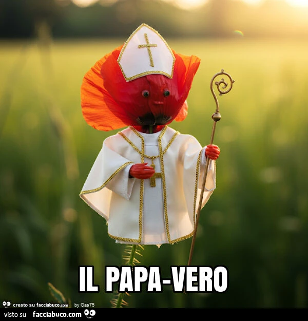 Il papa-vero