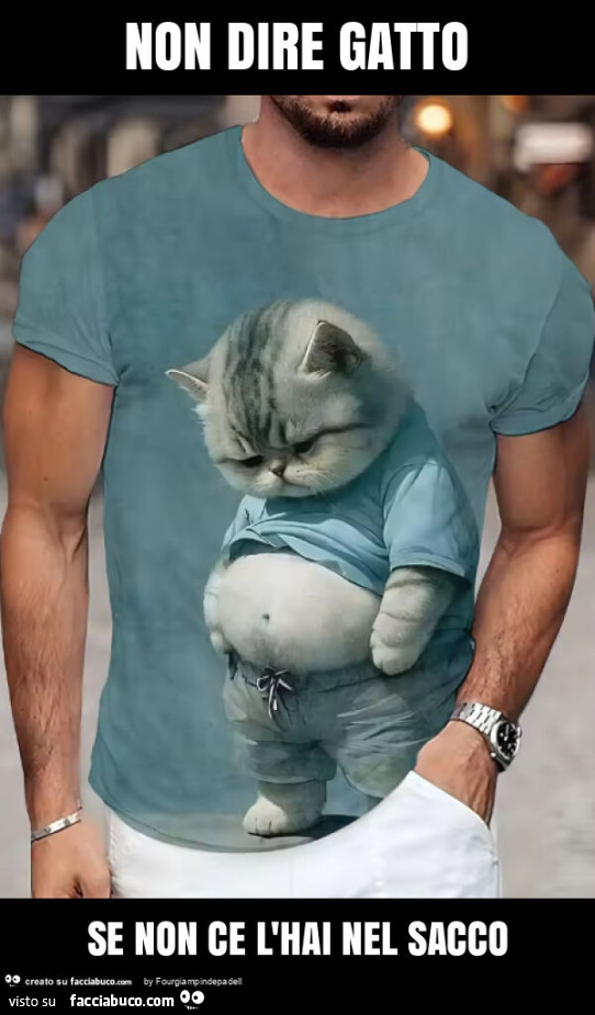 Non dire gatto se non ce l'hai nel sacco