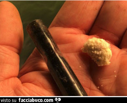 Vaccata