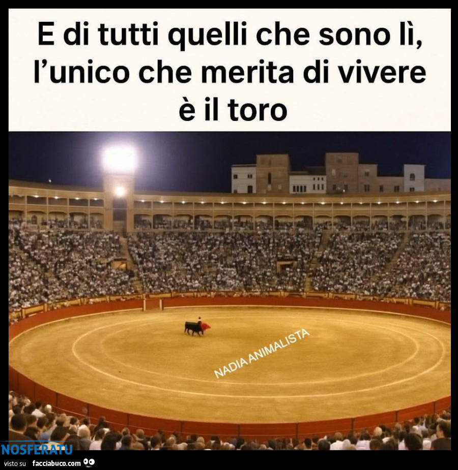 STOP alla corrida